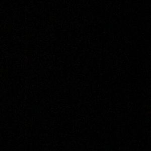 Meet your Posher, Kenny